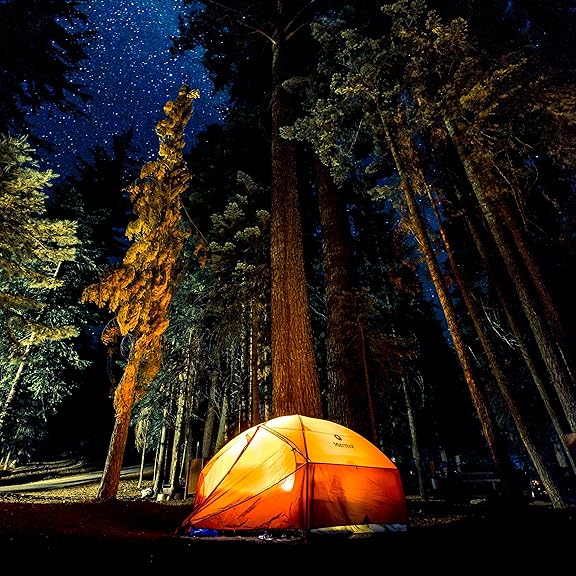 海外でキャンプブーム沸騰 4つのトレンドキーワード 注目スポット6選 グローバル インサイト 海外でキャンプブーム沸騰 4つのトレンドキーワード 注目スポット6選 グローバル インサイト