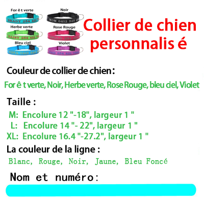 Collier De Chien Personnalisé Nom De Chien Brodé Et Numéro
