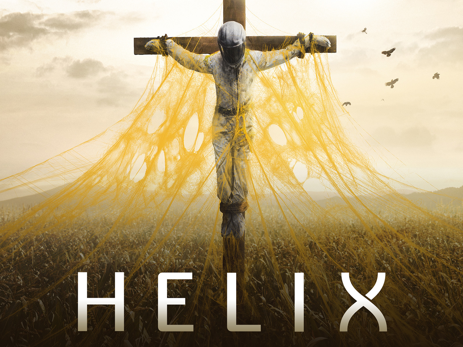 HELIX ー黒い遺伝子ー シーズン 2 COMPLETE BOX [DVD] Amazon.co.jp: HELIX ー黒い遺伝子ー シーズン 2 COMPLETE BOX