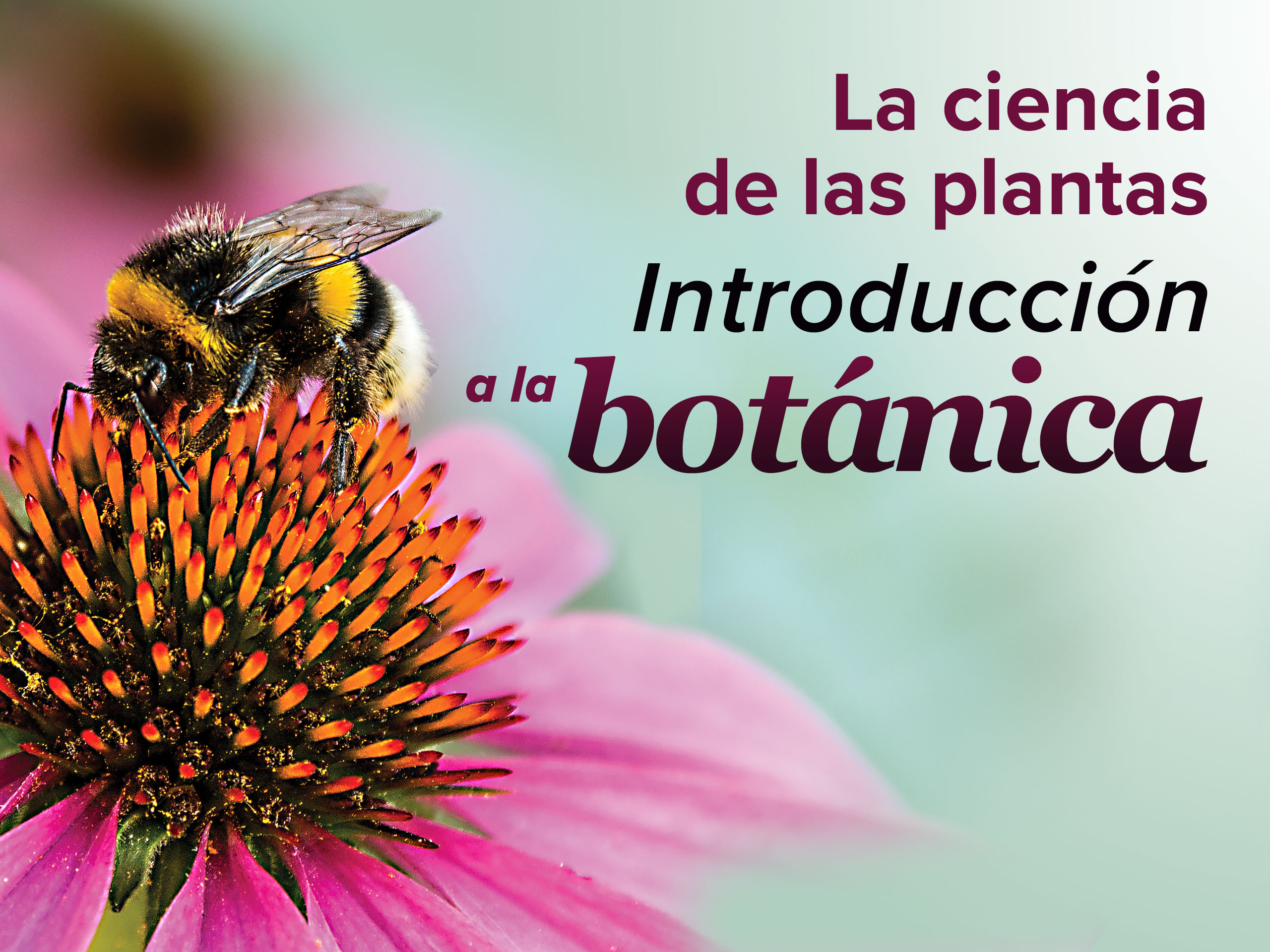 Prime Video: La ciencia de las plantas: Introducción a la botánica