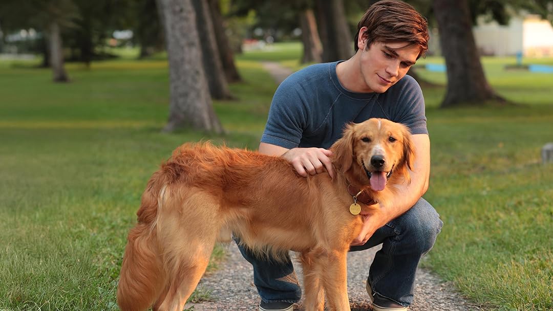 A Dog's Purpose
