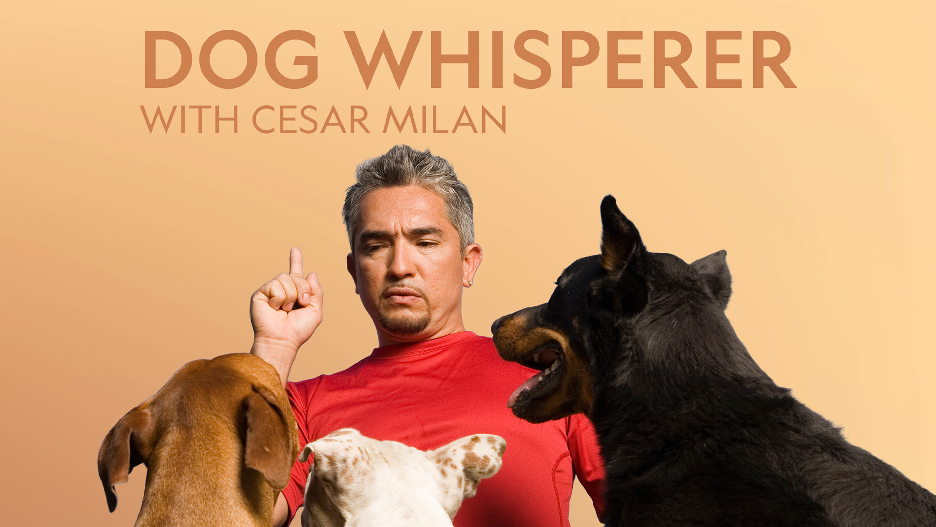 その他 Dog Whisperer With Cesar Millan: Comp Third Season [DVD] [Import] 6g7v4d0 655dae46bb22ee4cbb725d95240338