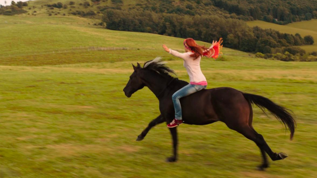 Whisper : libres comme le vent
