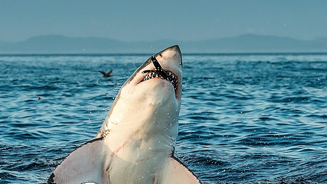 Air Jaws: Ultimate Breach Off