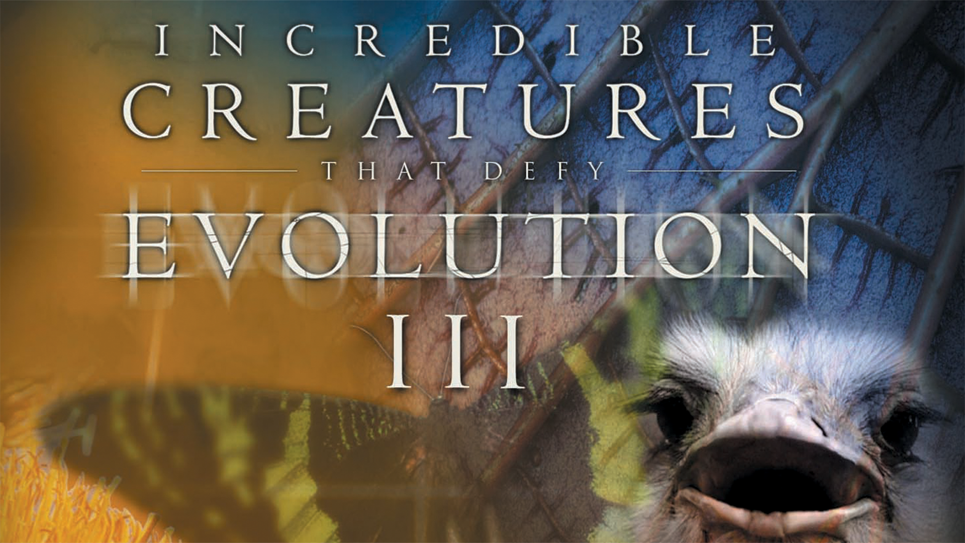 Prime Video: Incredible Creatures That Defy Evolution III