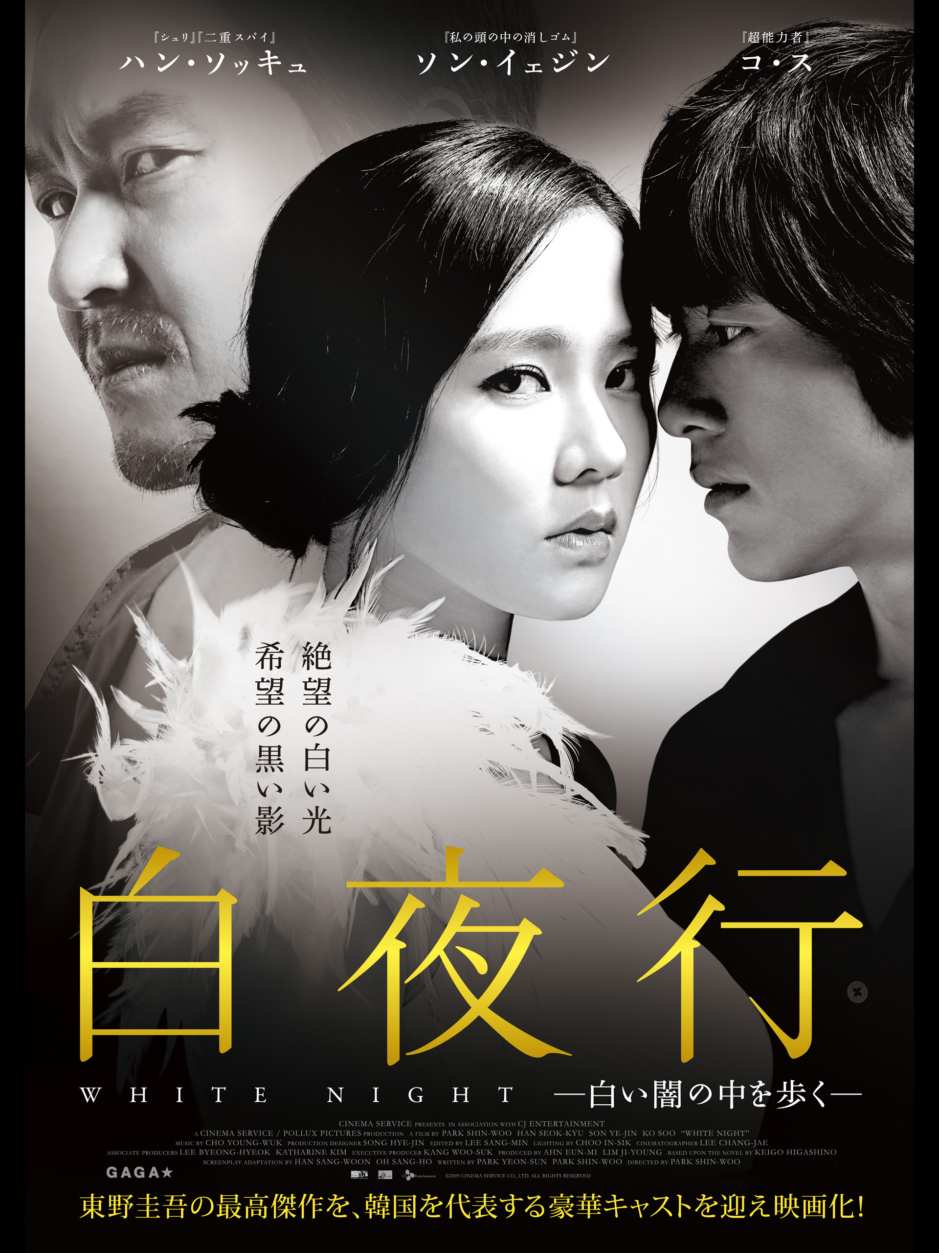 Amazon.co.jp: 白夜行 ～白い闇の中を歩く～ (字幕版)を観る