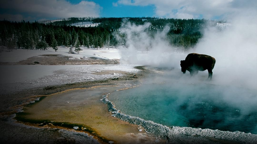 Christmas in Yellowstone