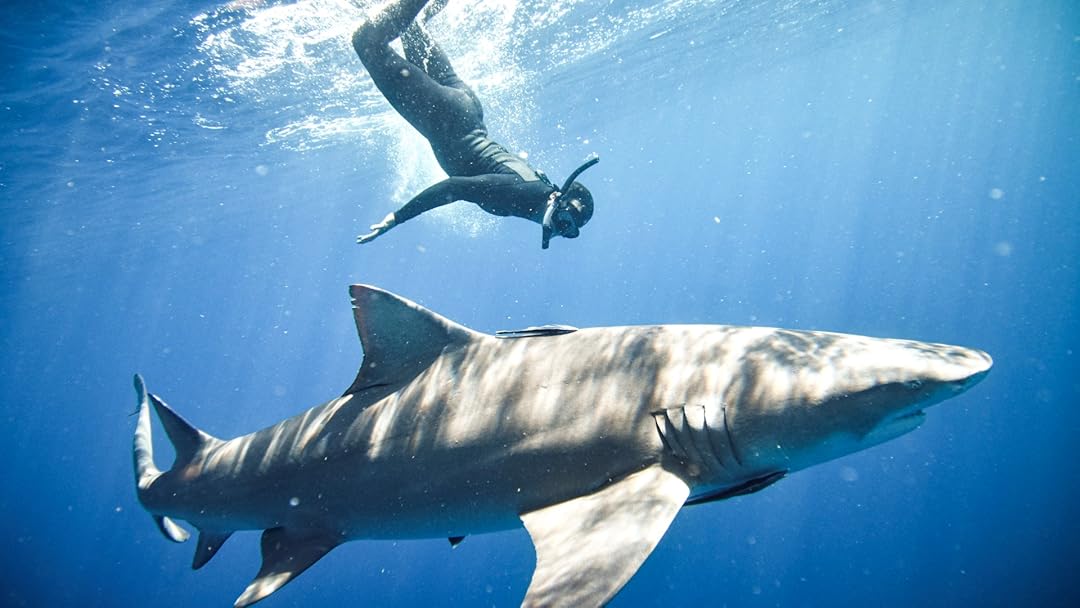 Goliath Fishing