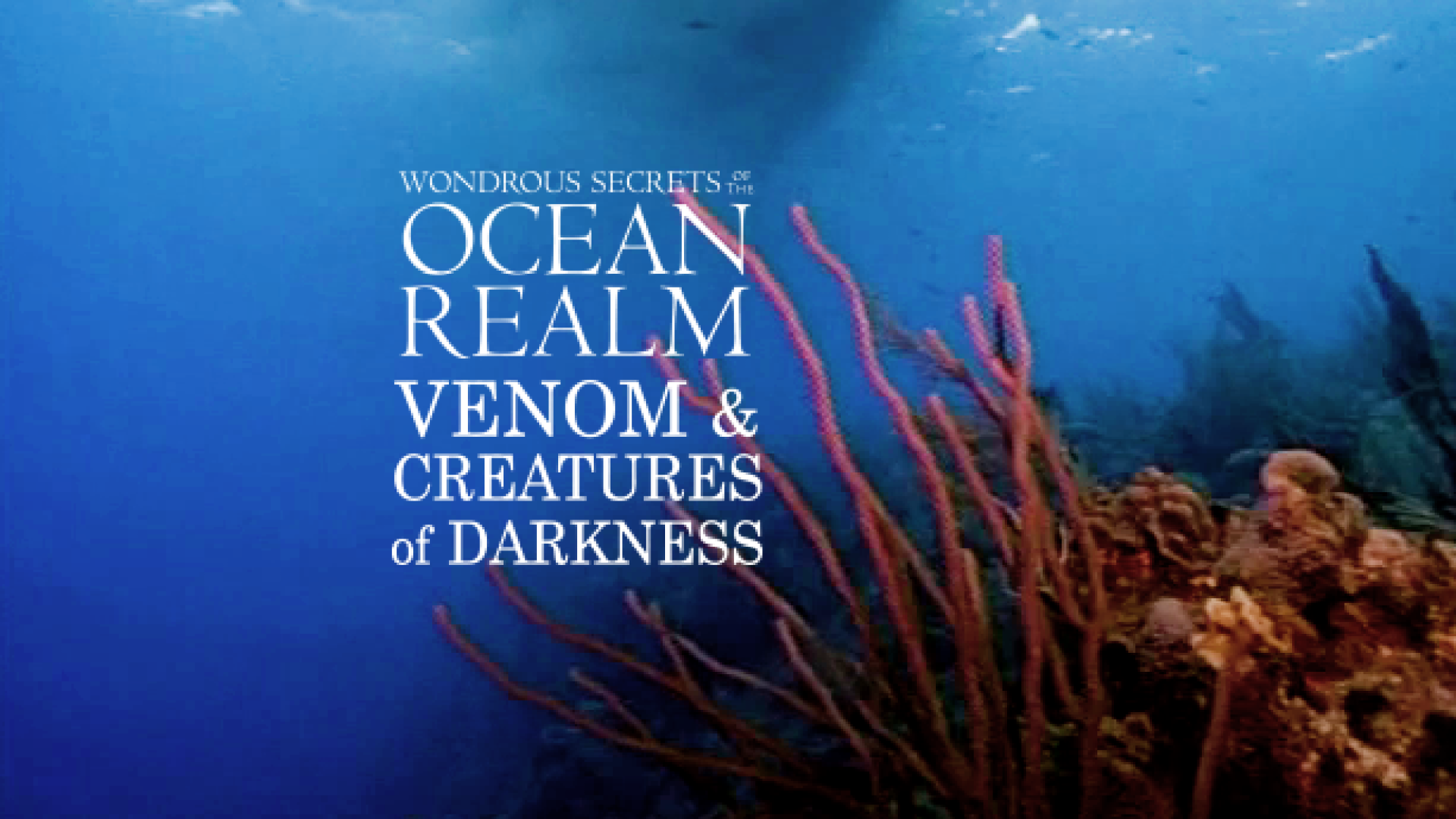 Watch Wondrous Secrets of the Ocean Realm: Venom & Creatures
