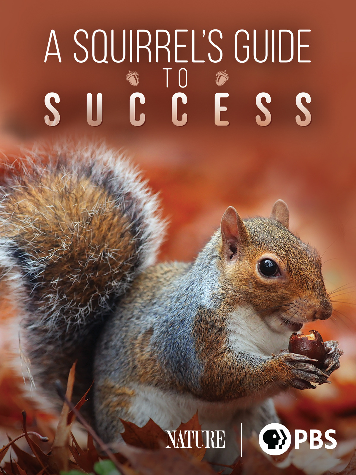 Eclassifieds: The Insider'S Guide To Success - g54xwtm
