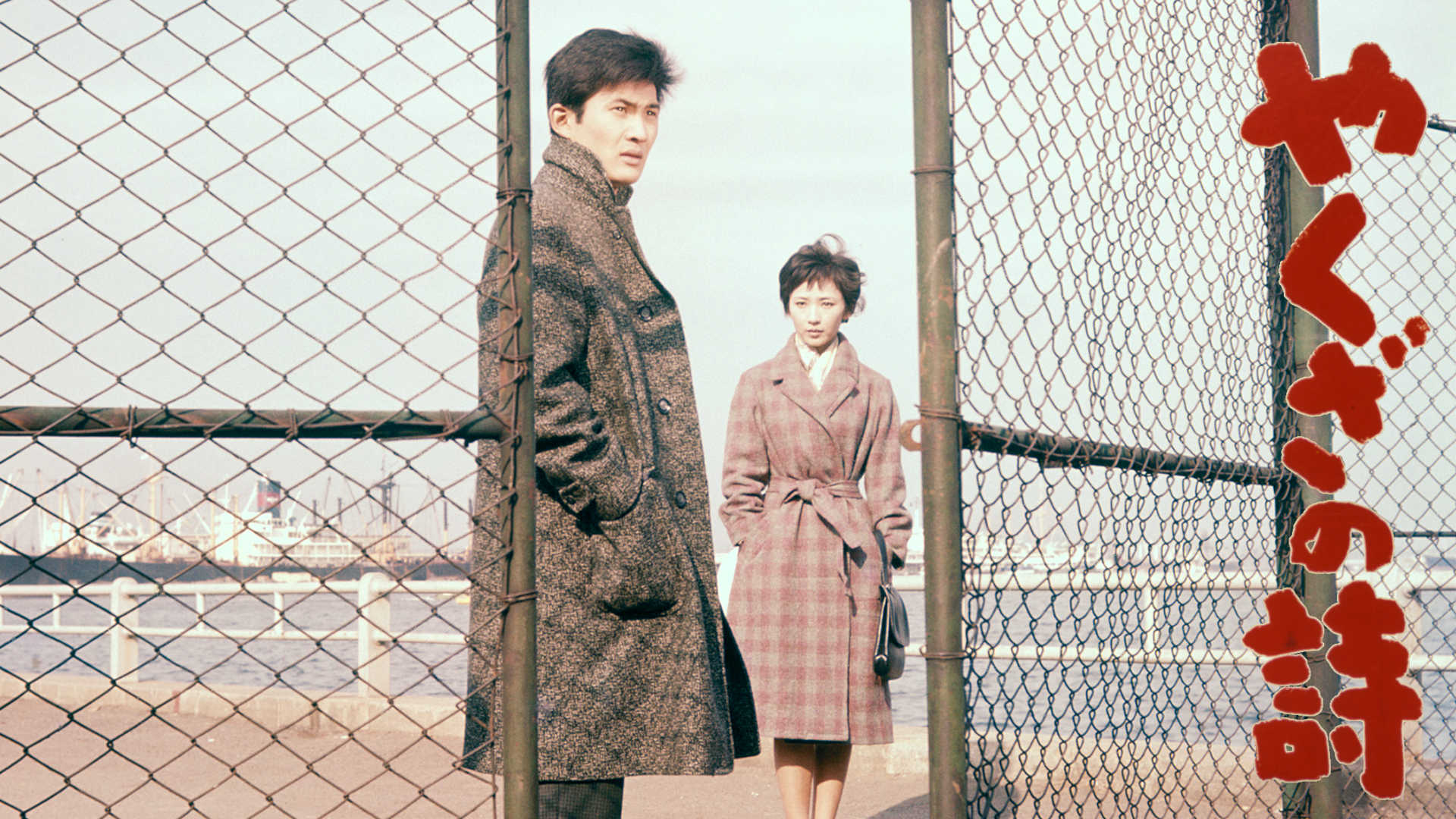 花と怒涛('64日活) Amazon.co.jp: 花と怒涛を観る | Prime Video