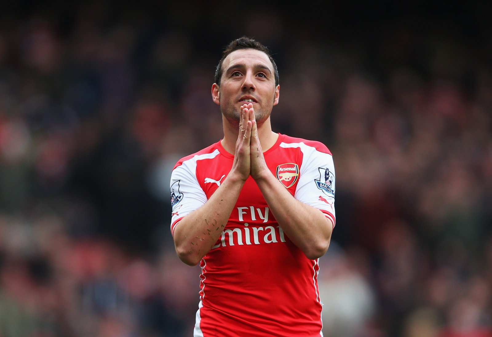 panini flawless 15-16　SANTI CAZORLA panini flawless 15-16 SANTI CAZORLA 15-16 Panini Flawless