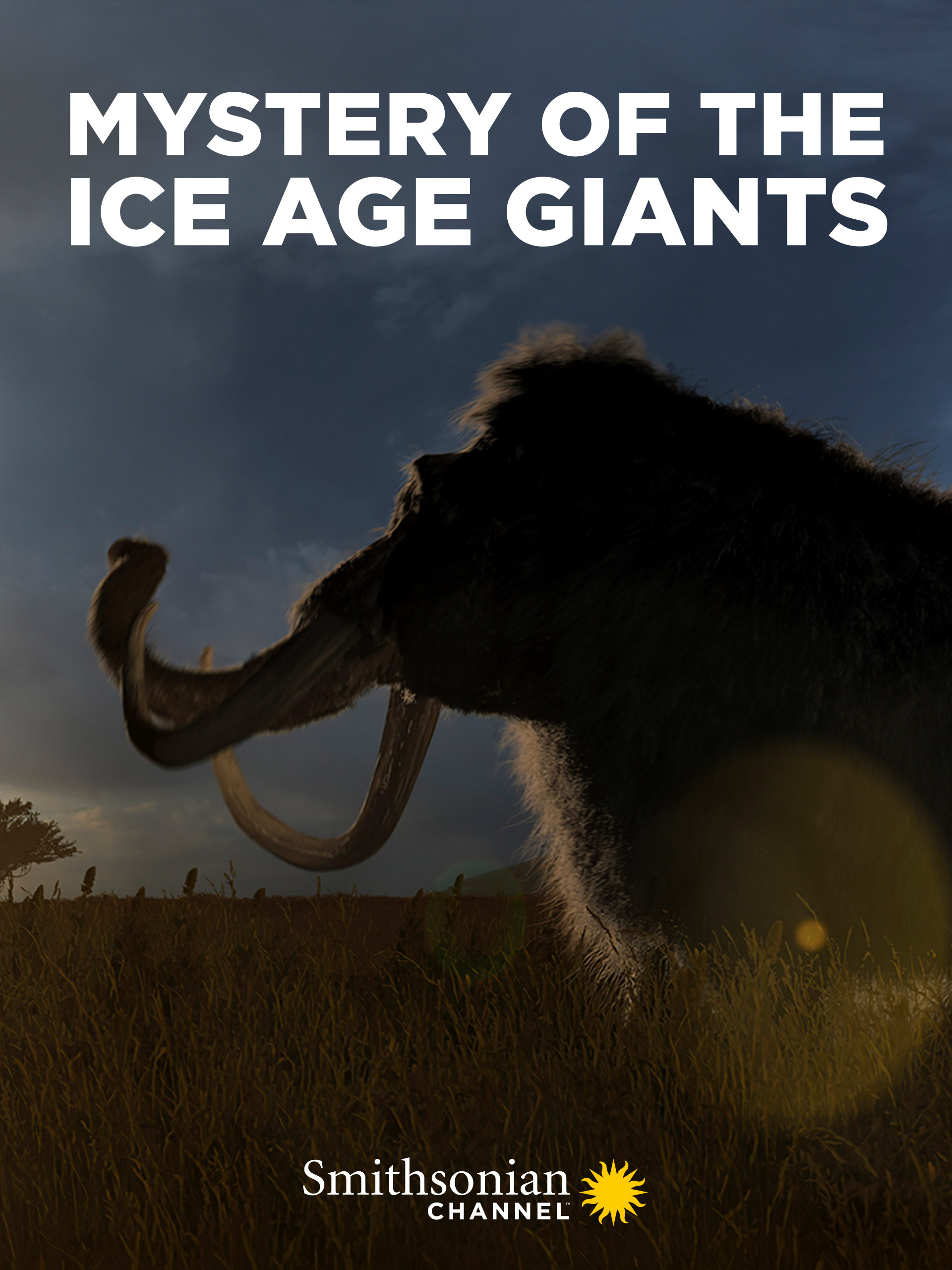 Alaska'S Ice Age Giants: Sabertooth Tiger Mystery Solved? - ruf19yl