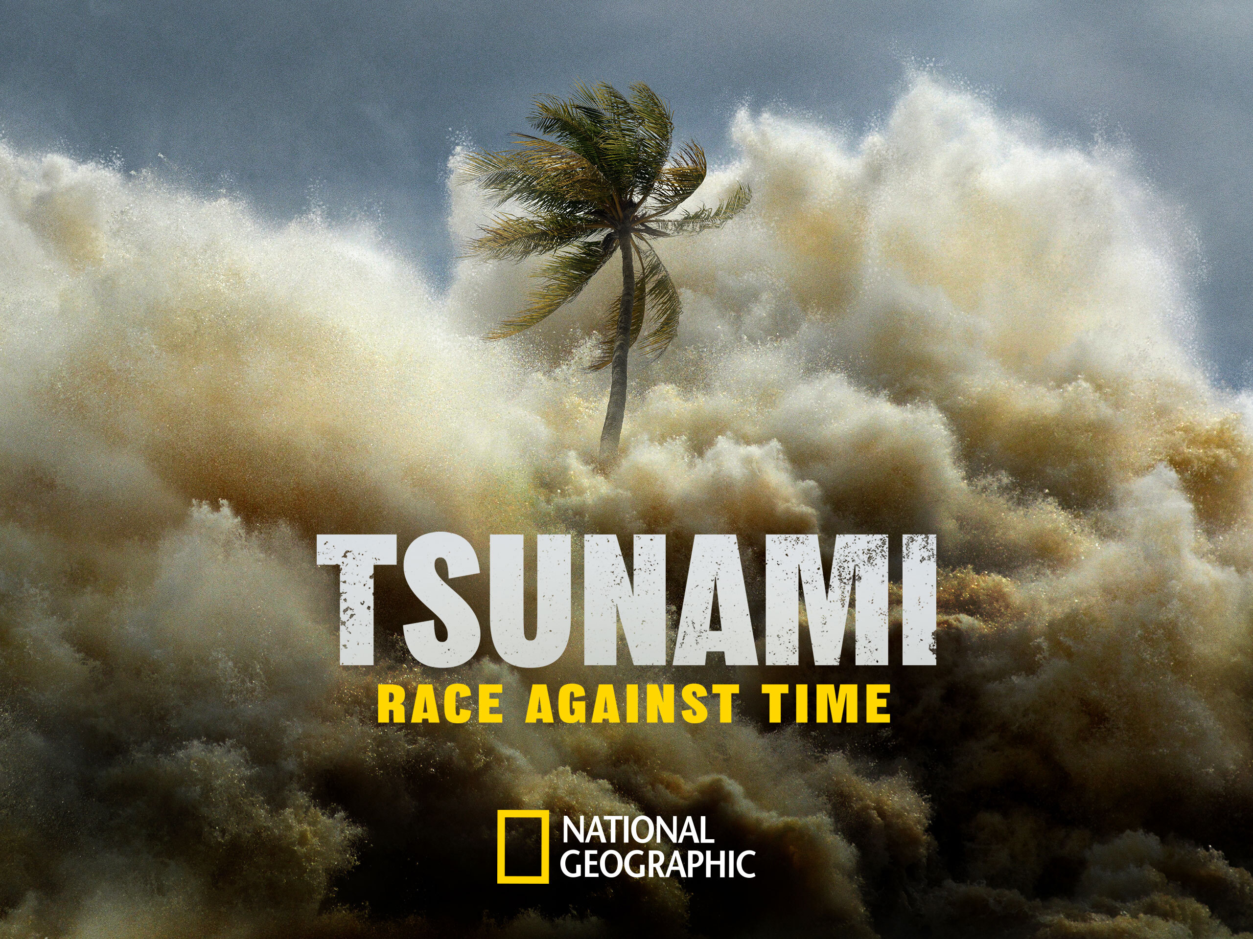 Tsunami race against time Tsunami race against time