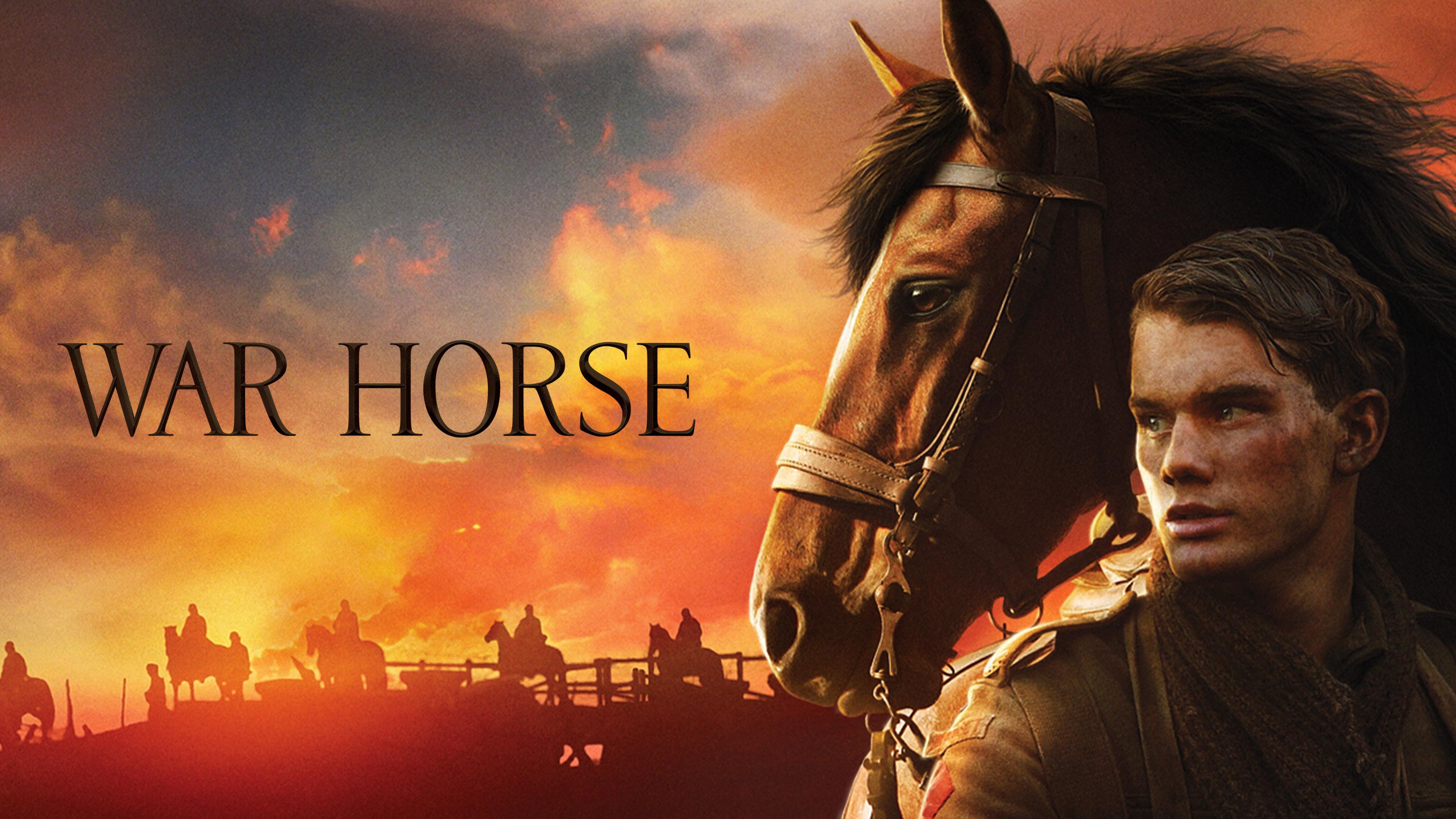 (未使用･未開封品)War Horses of Wwi [DVD] 未使用・未開封品)War Horses of Wwi [DVD] Amazon.com: A Horse