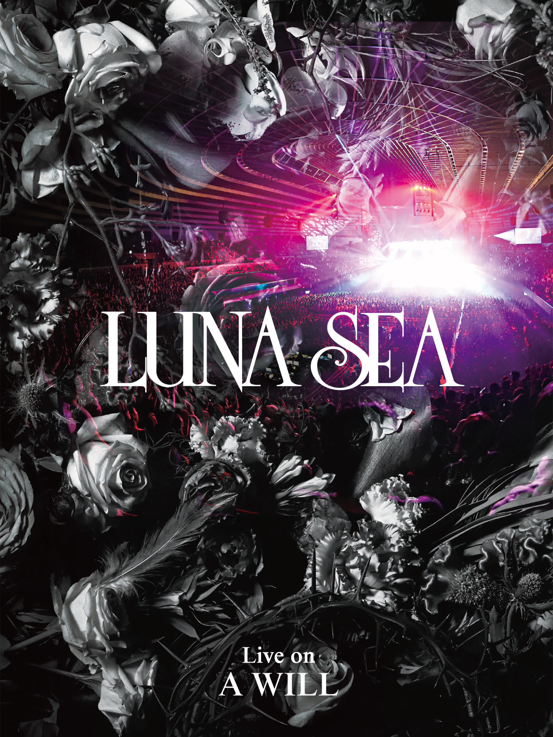 LUNA SEA　ビデオ LUNA SEA RYUICHI、INORAN、コンポーザーH.Hayamaのユニット