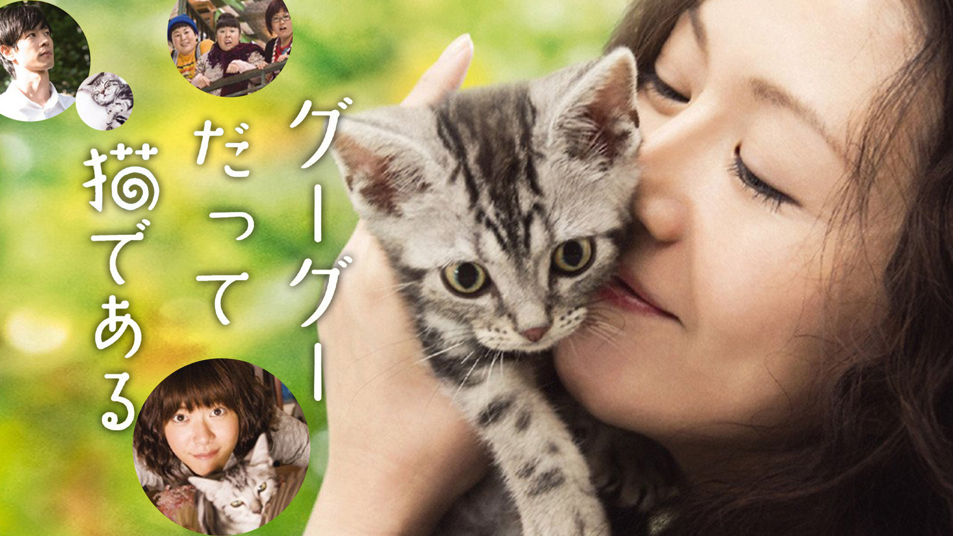 Amazon.co.jp: グーグーだって猫であるを観る | Prime Video