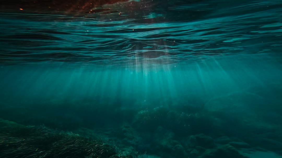 Cursed Waters: Creature of Lake Okanagan