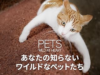 あなたの知らないワイルドなペットたち