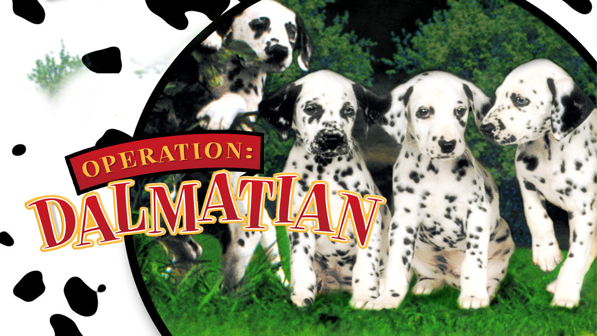 (未使用･未開封品)Operation Dalmation: Holiday [DVD] Amazon.com: Operation Dalmation: Holiday : Movies & TV