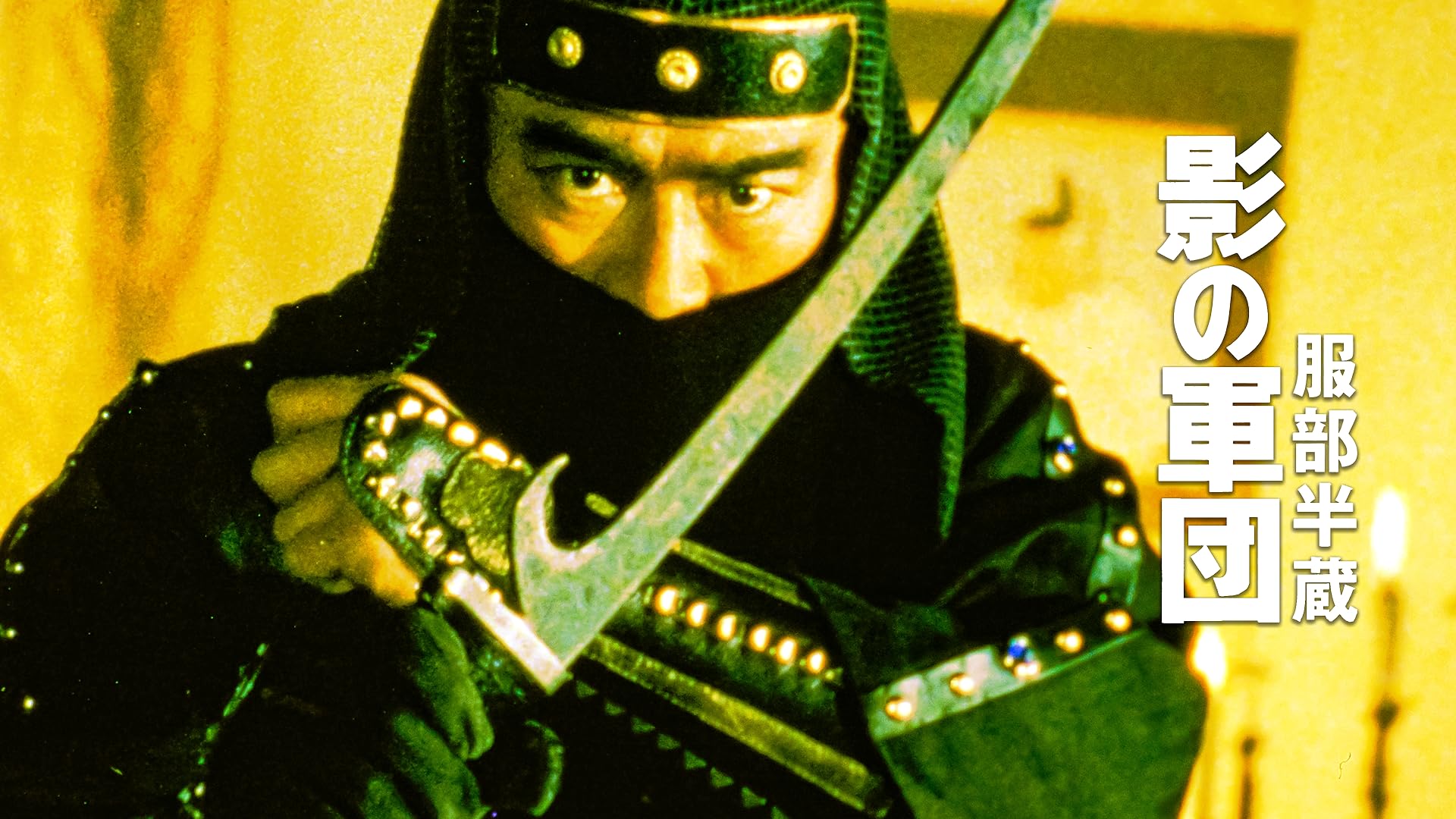 【送料込み】忍者武芸帖 百地三太夫('80東映) 忍者武芸帖 百地三太夫 – 映画コレクション・しねとろ倶楽部