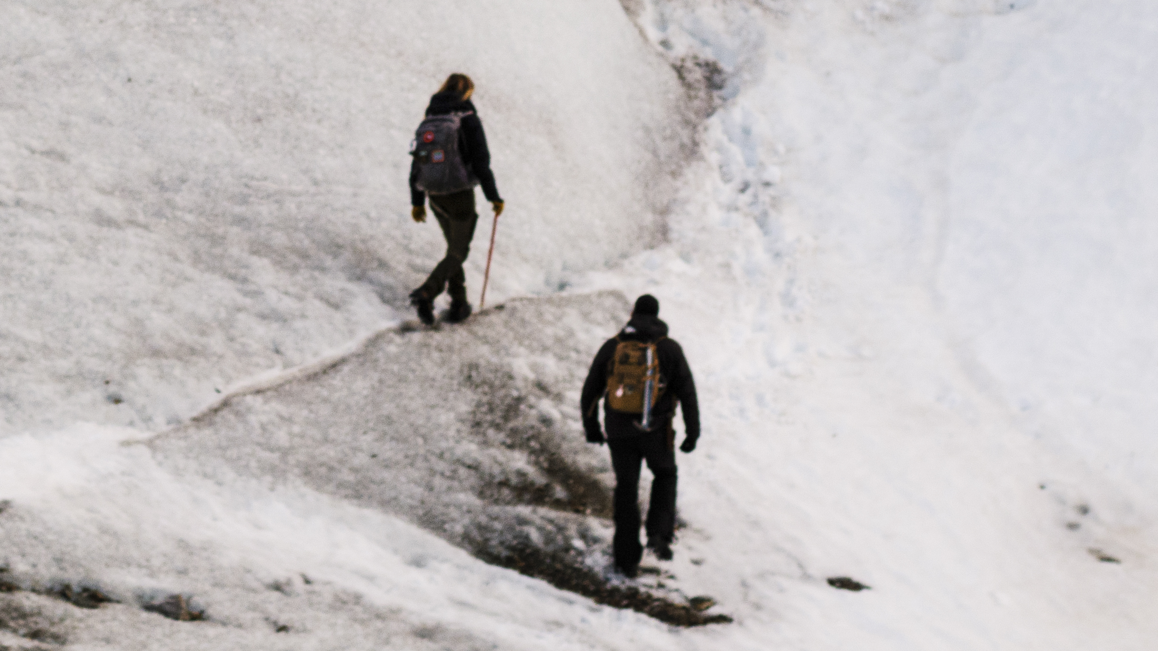 Prime Video: Expedition Bigfoot, Season 4