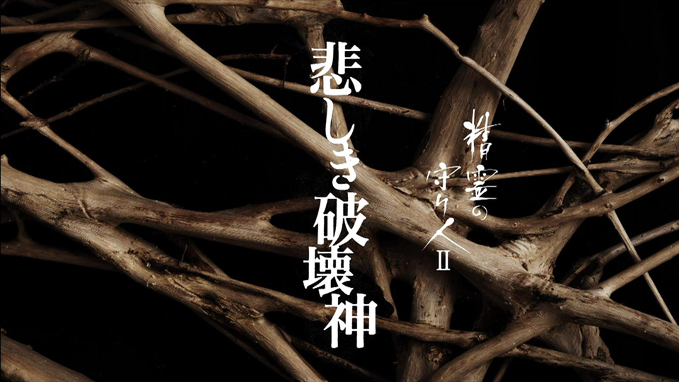 精霊の守り人II 悲しき破壊神(NHKオンデマンド)を観る | Prime