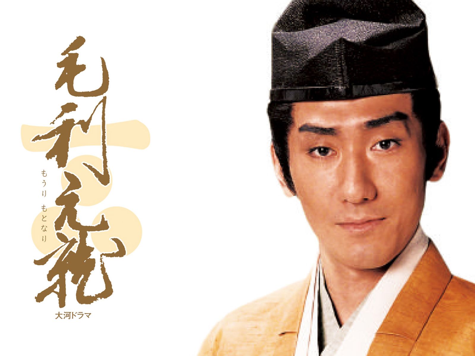 大河ドラマ　毛利元就　総集編 51RG0DNYVXL._AC_SY200_QL15_.jpg