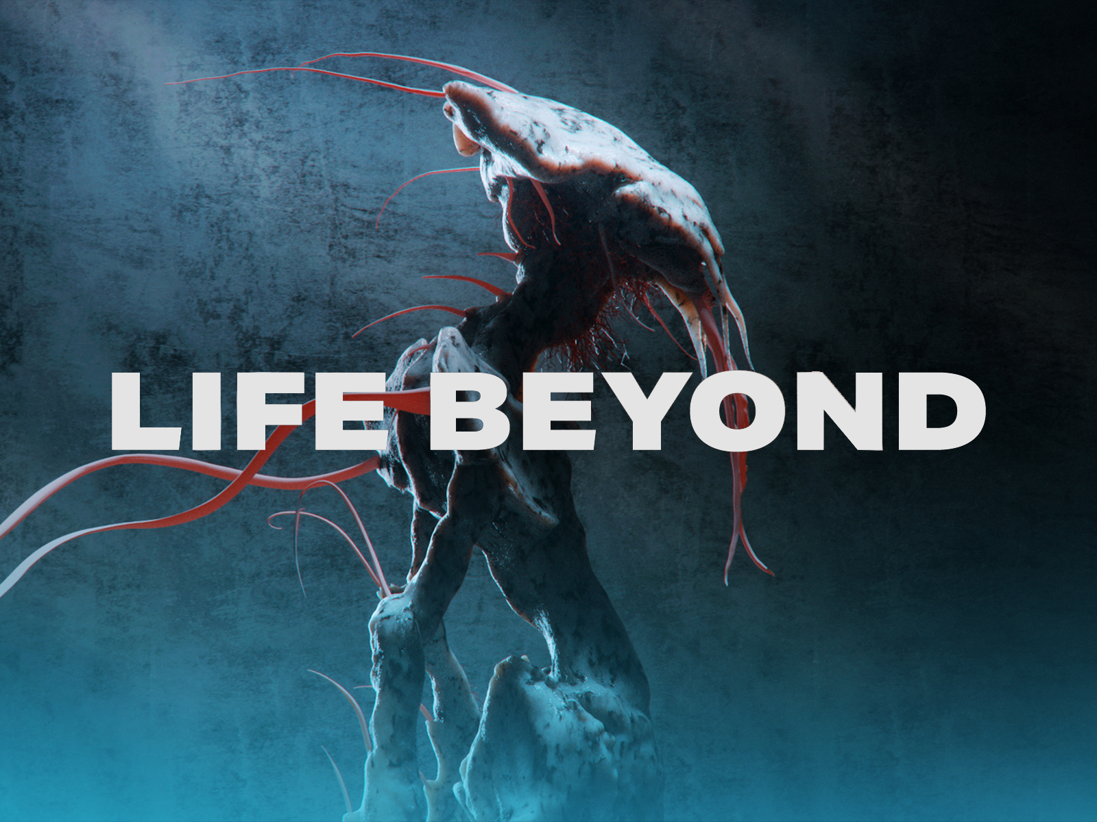 (未使用･未開封品)Nova: Finding Life Beyond Earth [Blu-ray] NOVA: Finding Life Beyond Earth (Blu-ray Disc, 2012) for