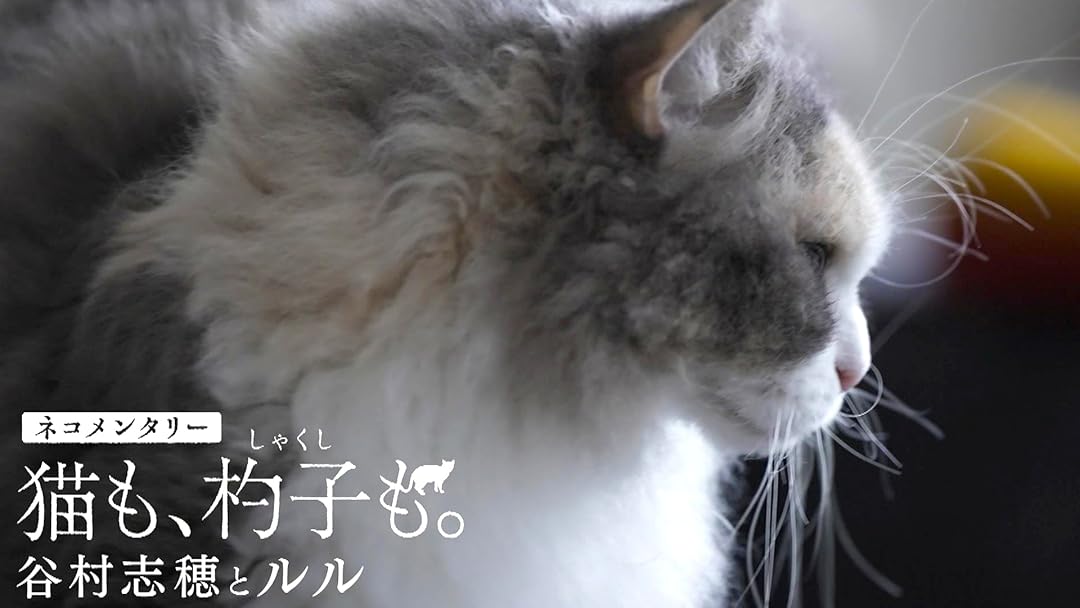 Amazon.co.jp: ネコメンタリー 猫も、杓子も。(NHKオンデマンド