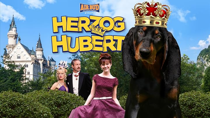 Chestnut Der Held Vom Central Park Dvd www.amazon.de