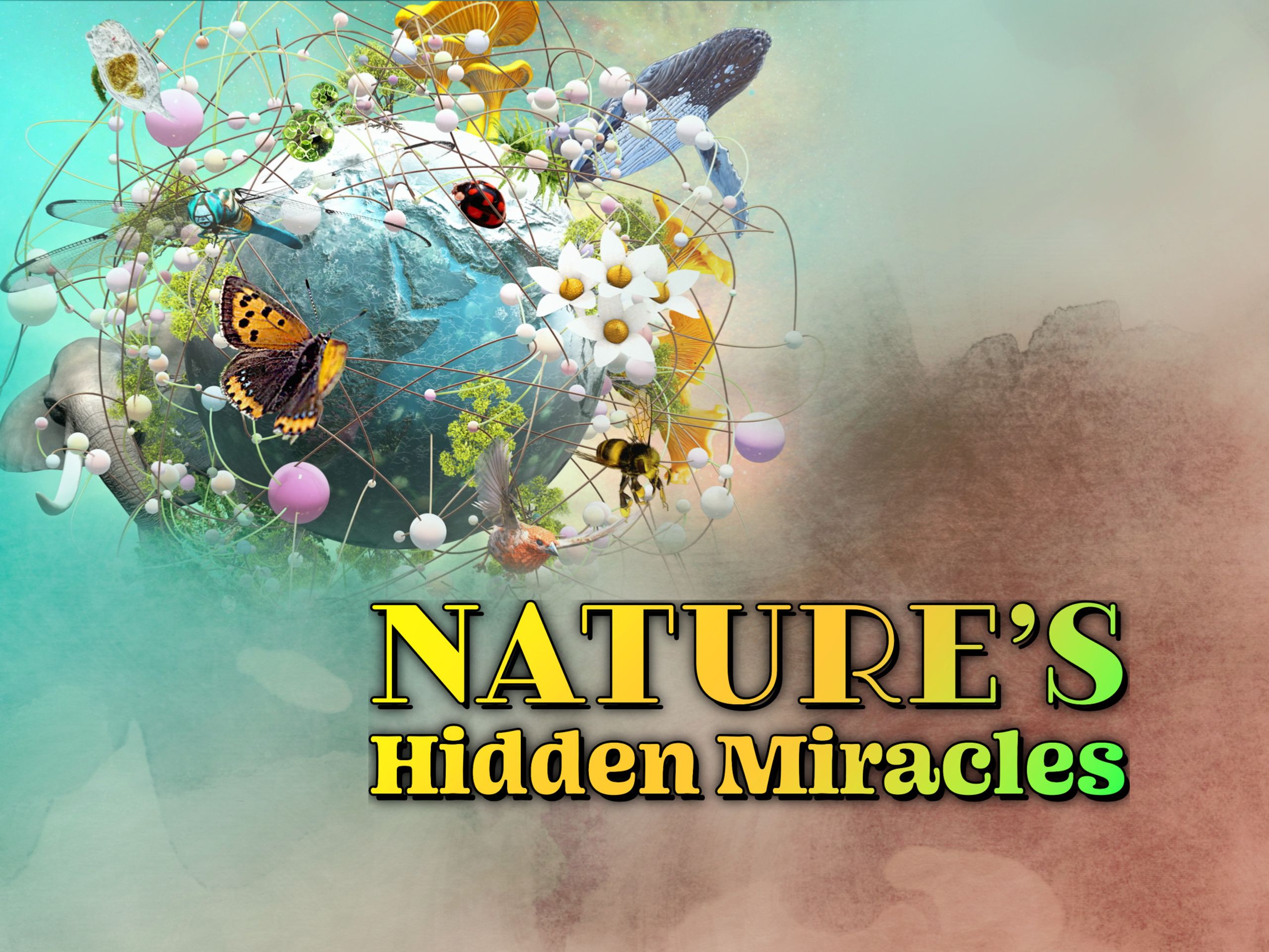 Daisy Blooms: Nature'S Hidden Miracle - ntfbsb4