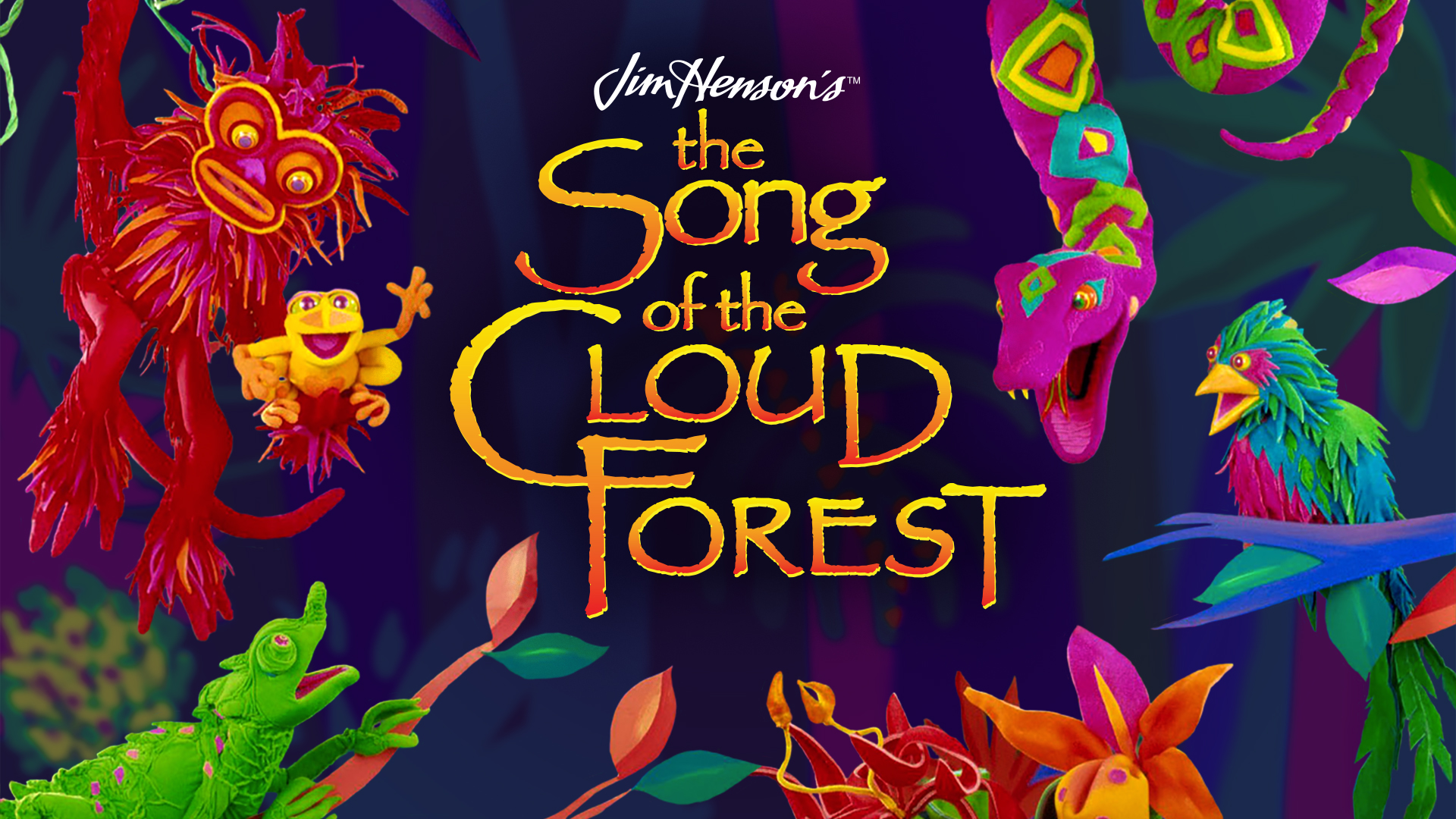 その他 Jim Henson&#39;s Song of Cloud Forest &amp; Other Earth [DVD] Amazon.com: Jim Henson's The Song of the Cloud Forest and