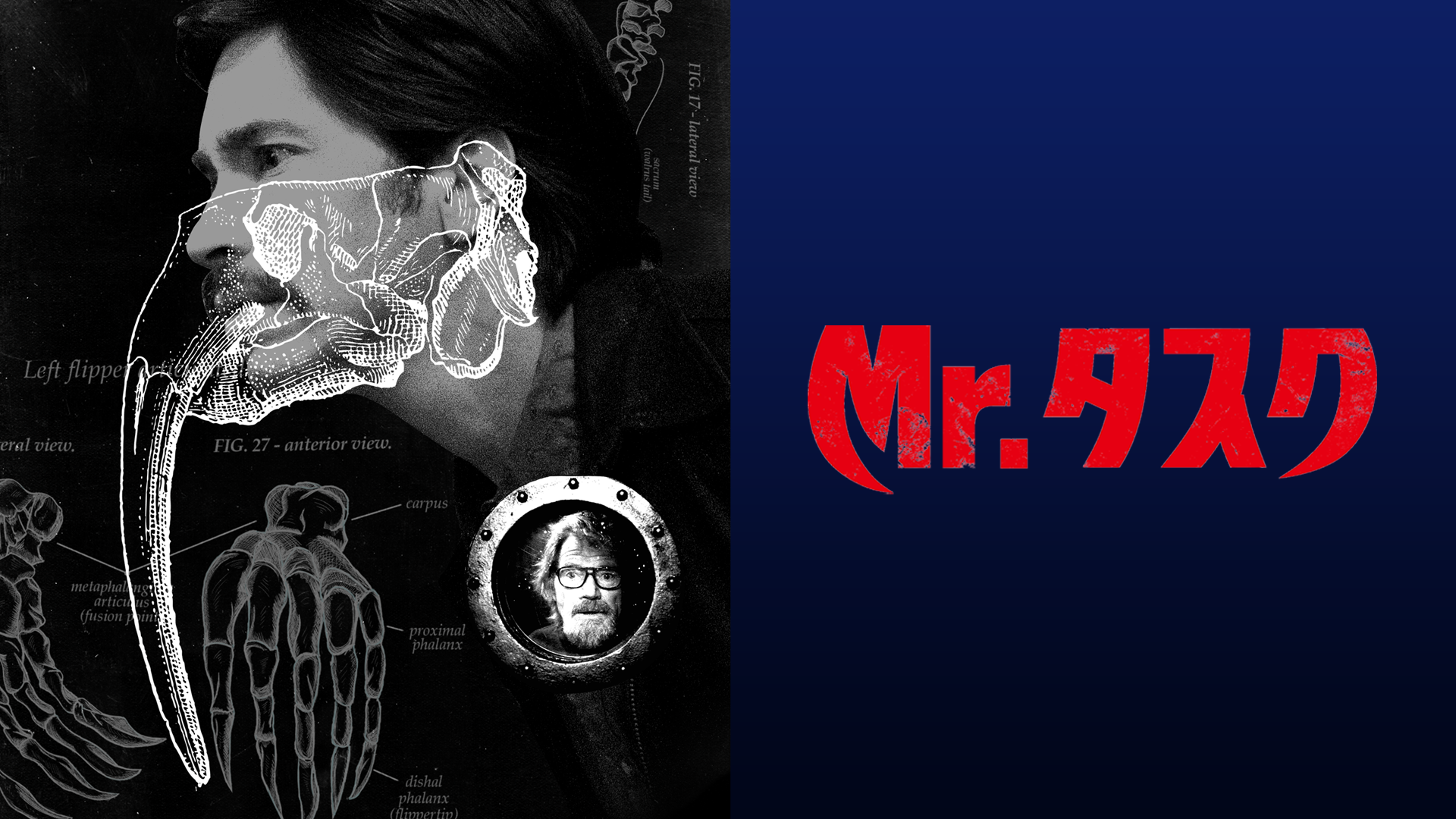 Amazon.co.jp: Mr.タスク(字幕版)を観る | Prime Video