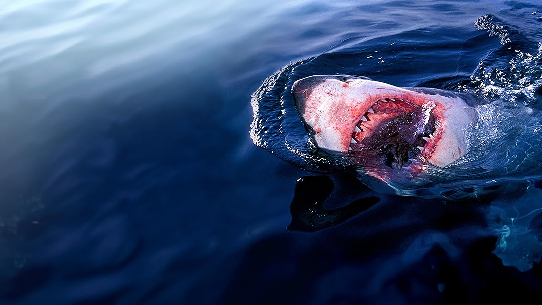Laws of Jaws: Dangerous Waters