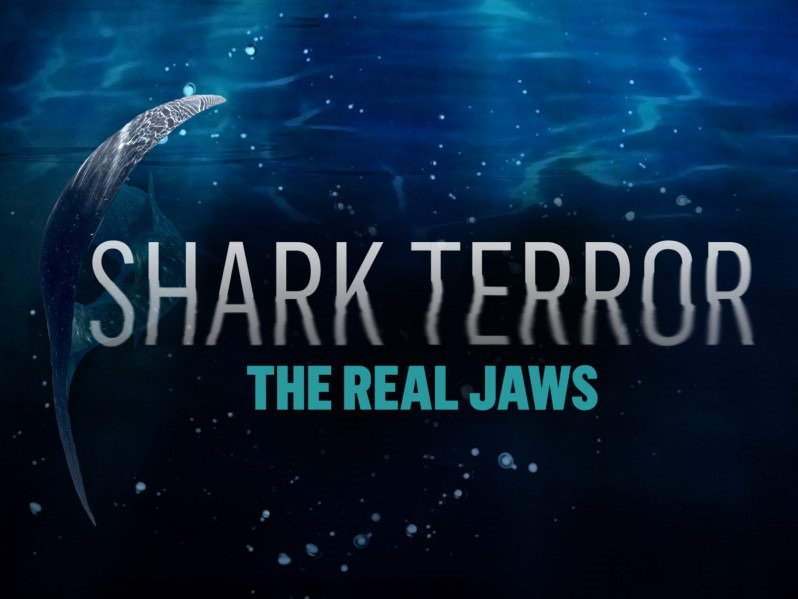 Prime Video: Shark Terror: The Real Jaws