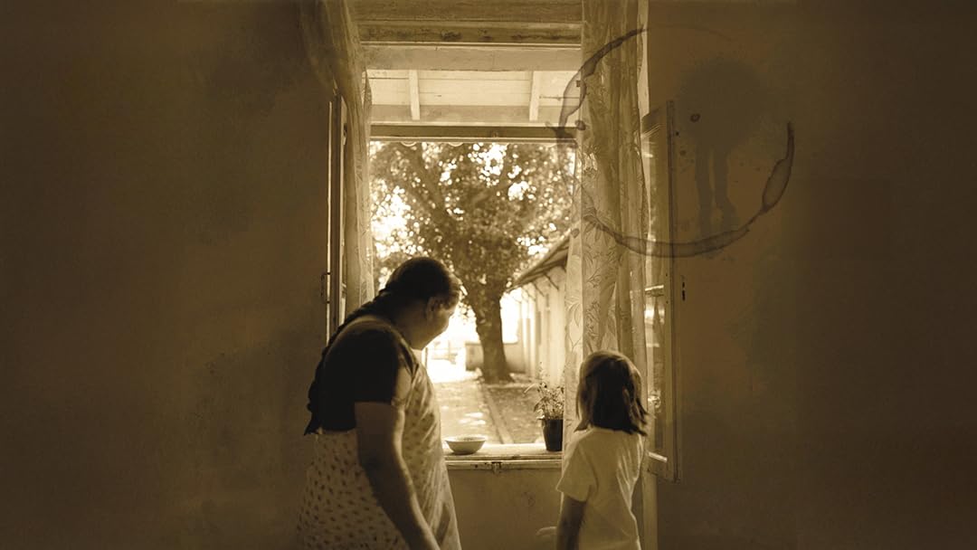 The Window