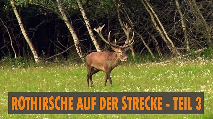 Amazon.de: Hirschjagd in Neuseeland ansehen | Prime Video