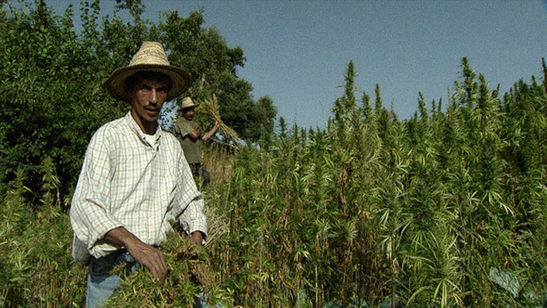 Hashish - the film