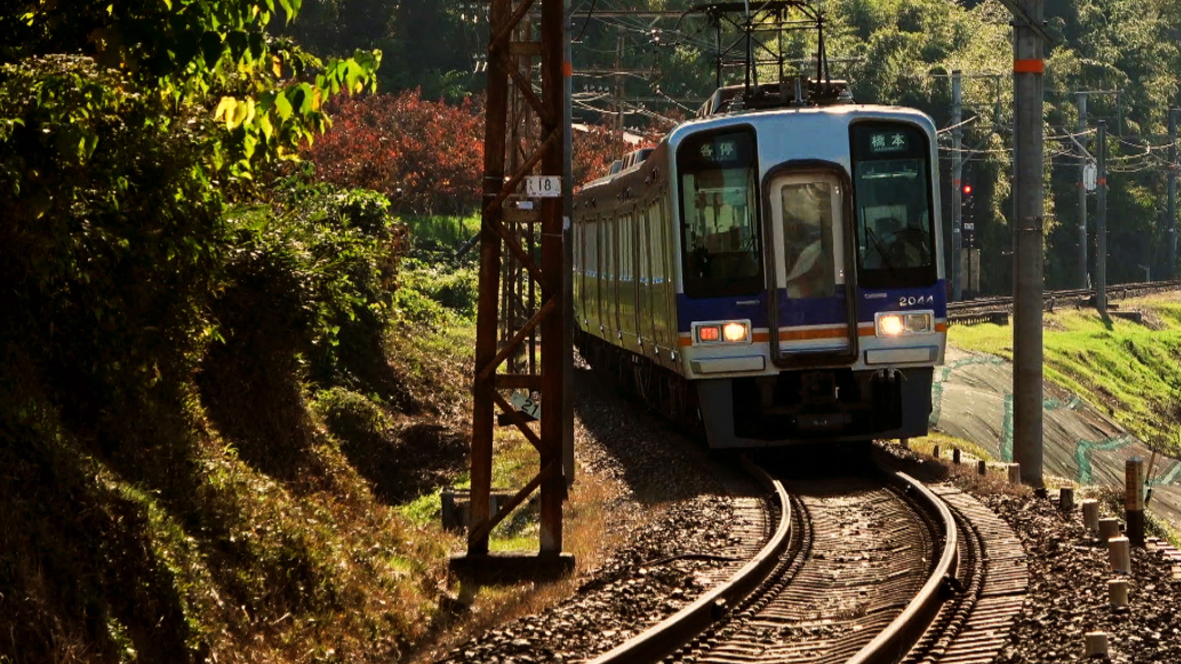 高野線快速急行 南海電鉄 高野線運転席展望 なんば→極楽橋/鋼索線(高野山ケー… 高野線快速急行 南海電鉄 高野線運転席展望 なんば→極楽橋/鋼索