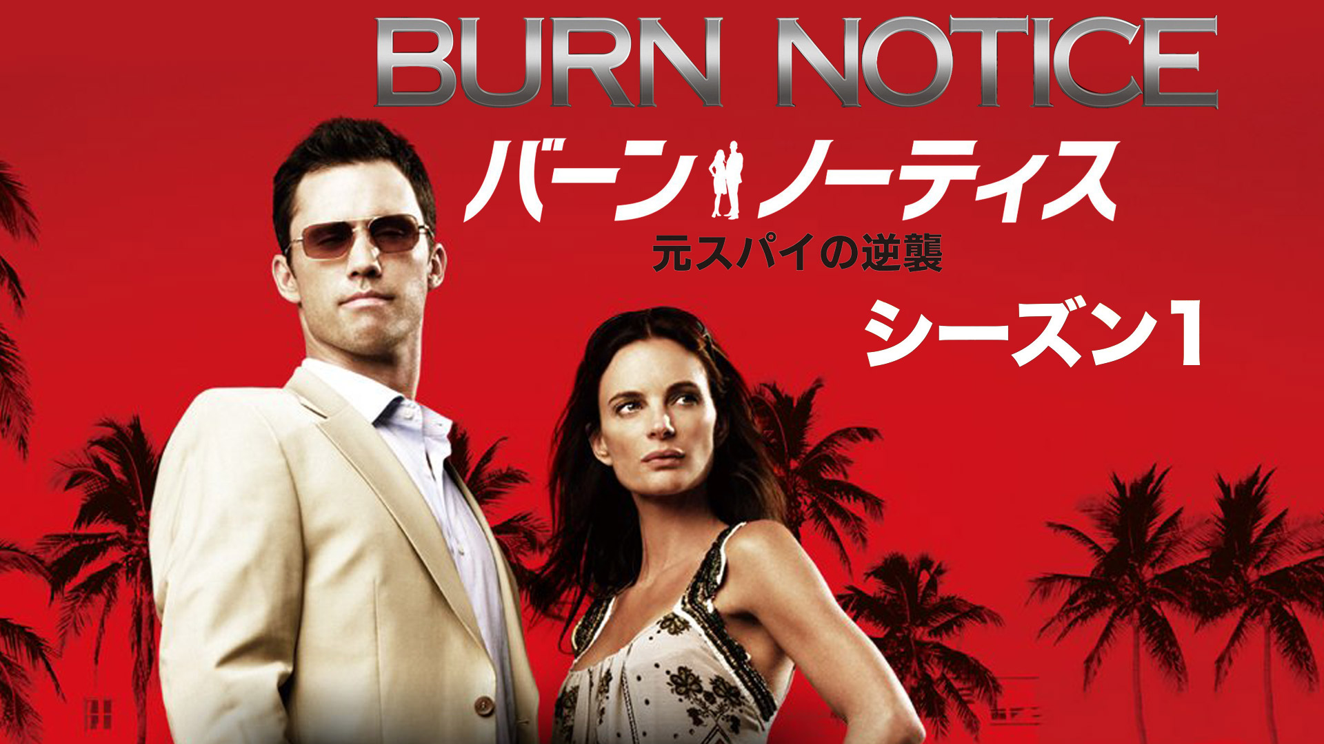 パーソン・オブ・インタレスト(吹替版)を観る | Prime Video