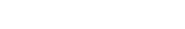 Palsu