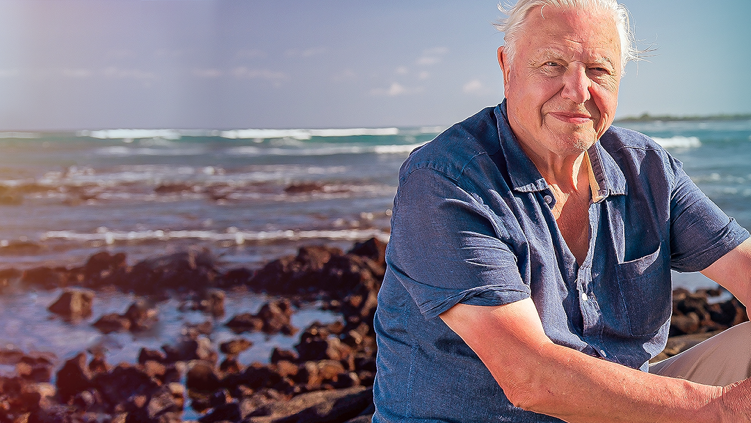 Attenborough's Galapagos