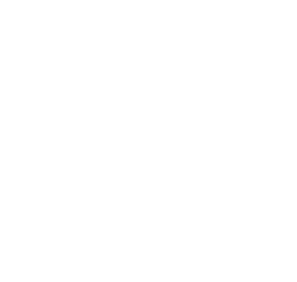 堡垒：黛安娜