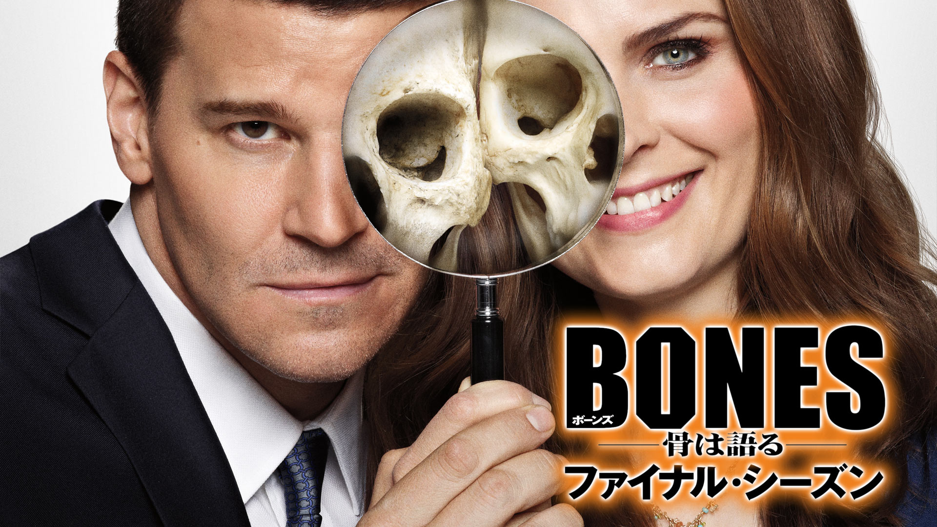 2枚セット　直筆サイン入り大判写真海外ドラマ　BONES骨は語るブレナンブース役 main_pc.jpg
