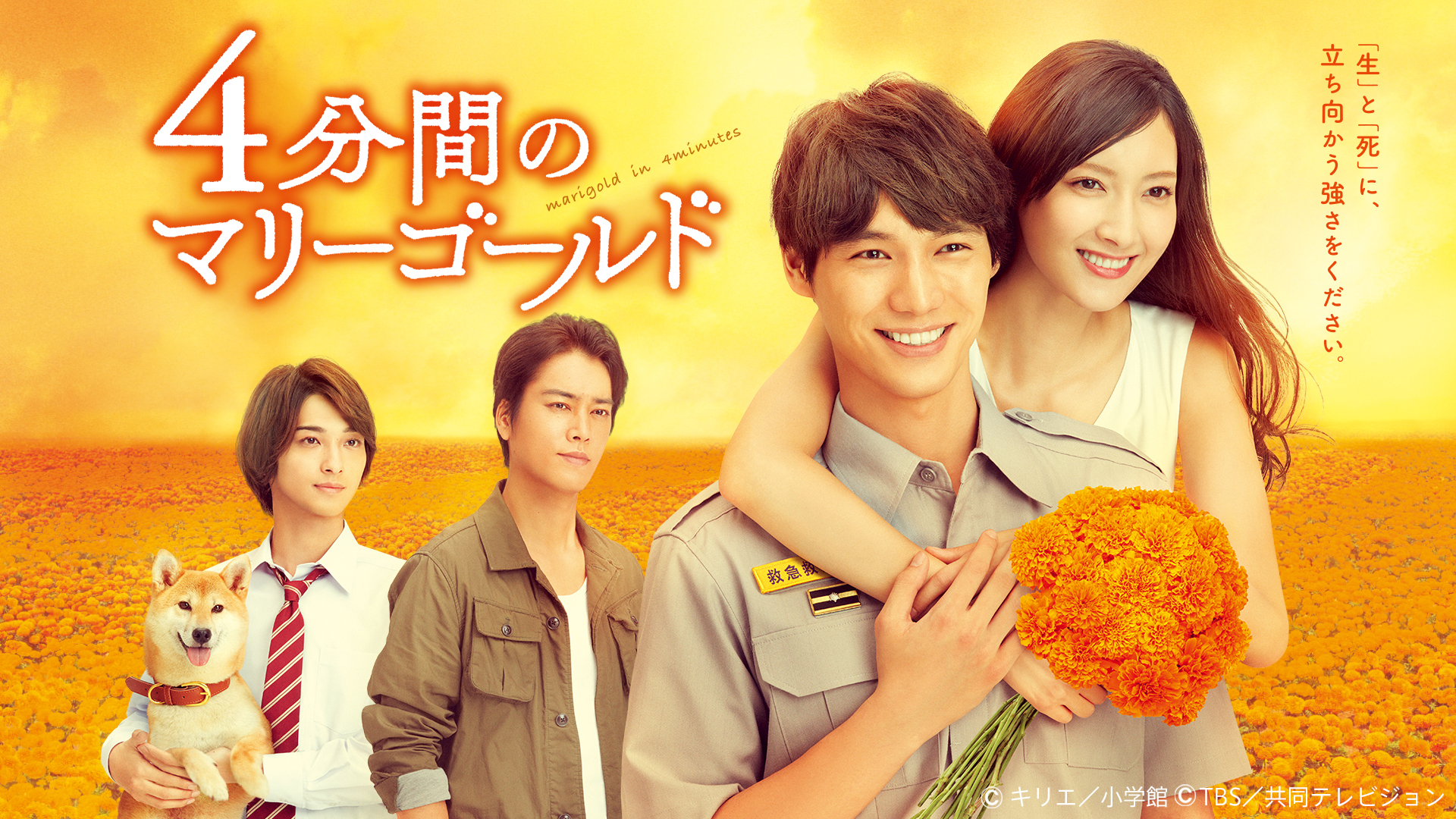 4分間のマリーゴールド DVD-BOX〈6枚組〉 4分間のマリーゴールド | TBSショッピング