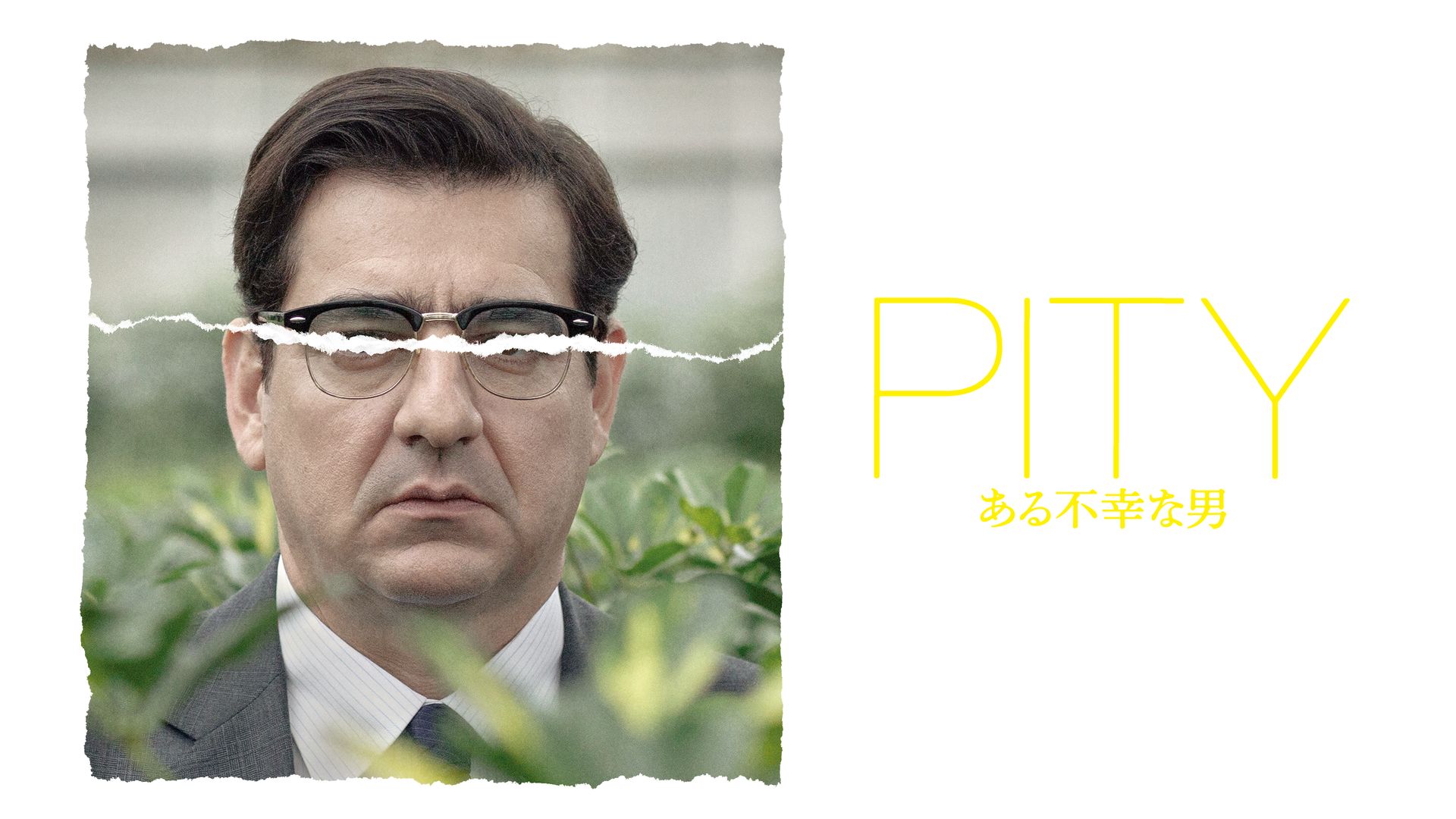 (未使用･未開封品)君がくれたグッドライフ [DVD] Amazon.co.jp: 君がくれたグッドライフ [DVD] : フロリアン