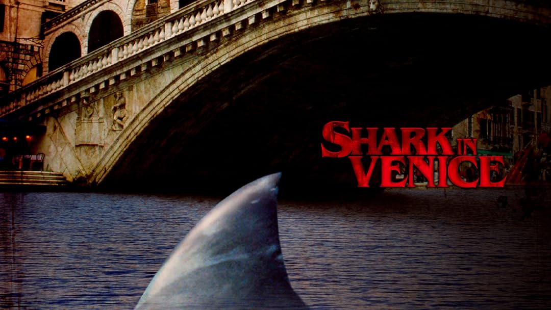 Shark in Venice