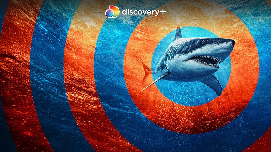 In the Eye of the Storm: Shark Storm