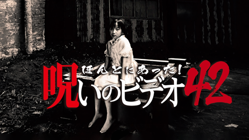 (未使用･未開封品)　ほんとにあった!呪いのビデオ 43 [DVD] 7z28pnb 心霊DVD/ほんとにあった!呪いのビデオ 43❕レンタル流れ品*綺麗